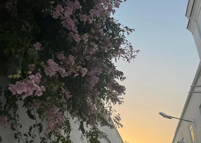 Daire La Sala By Casa De Rosita At-ba-00215 *